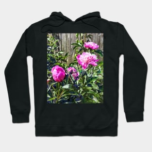 Pink Peonies By Stockade Fence Hoodie